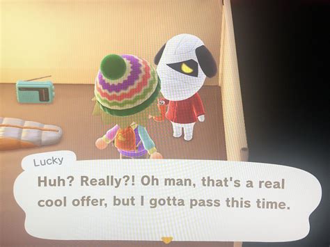 New horizons can summon campers and take photos with their favorite npcs using nintendo amiibo. Wanting to move in villager but my island is full. I've ...