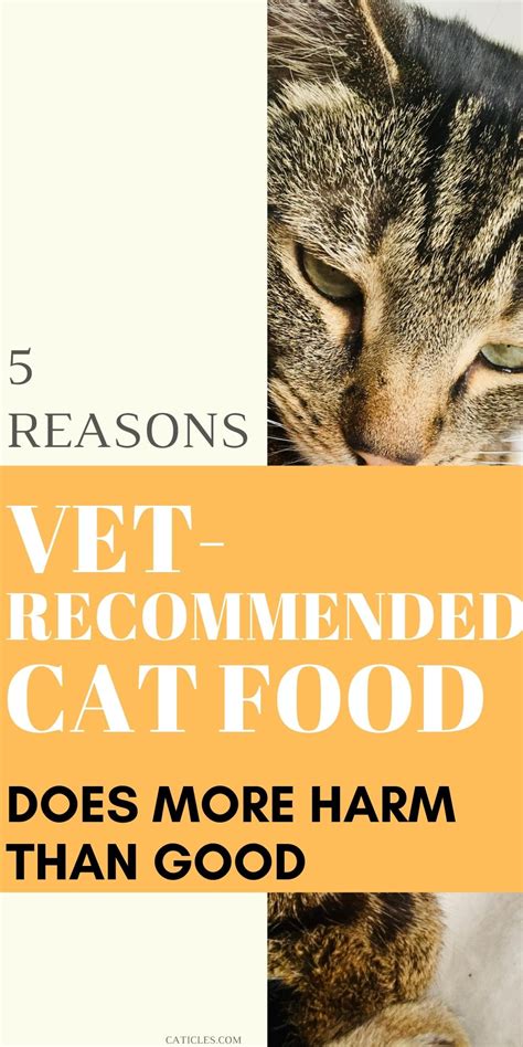 I hear from one source that wet food is best because cats tend to be dehydrated on dry, then what's the consensus? 5 Reasons Your Vet Recommended Cat Food is Complete Garbage