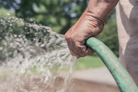 Från och med idag råder bevattningsförbud i ostnäs, skeppsvik, ivarsboda och norrfjärden för de hushåll som. Bevattningsförbud över hela Gotland | EcoConcept