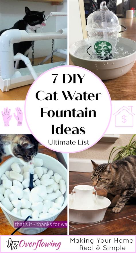 Check spelling or type a new query. 7 Easy DIY Cat Fountain Ideas - Cat Water Fountains