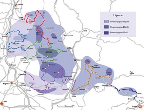 Markant ist der typische lavendelduft, der von den blüten sowie von den blättern ausgeht. Lavendelblüte Provence - Übersichtskarte der "Route de la ...