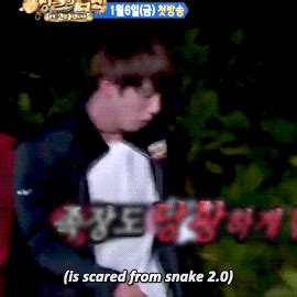 Law of the jungle (hangul: BTS - Suffering Jin on The Law of Jungle | BTSTAN