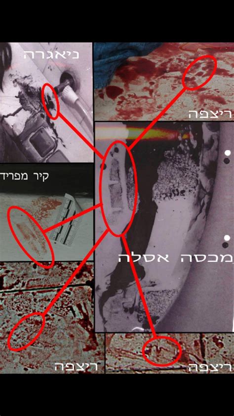 זדורוב עבד באותה תקופה בריצוף המקלט בבית הספר. אילנה ראדה :: עקבות נעל בלתי מזוהות וטבולות בדם בתוך זירת ...