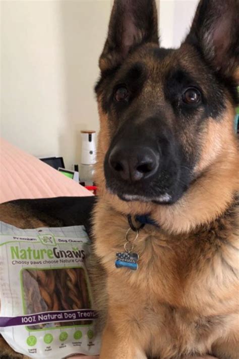 These are the BEST treats, keeping my dog chewing for ...