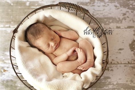 Bird nest fantasy background photo prop with vine and red leaves isolated on distressed wood. newborn photography props - newborns - Bruises and Bandaids