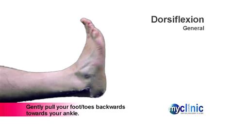 Joint flexibility ankle dorsiflexion range of. Ankle Series - Dorsiflexion - YouTube