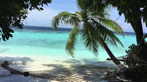 Maledivy sú asi jednou s destinácii o ktorej sníva každý. Maledivy 2016 , naše dovolená snů :) na ostrově ...