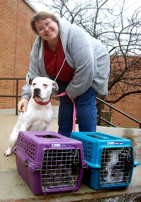 In madison county, ky, animal control is handled by the madison county animal shelter, a separate authorized agency. OSU vet students help animal shelter - Columbus Messenger