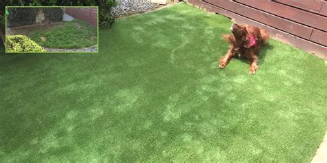 We will continue to lead the way in providing the best artificial and false grass, as well as a superior service that is second to none, in ireland. Small Garden in Dublin 3 - PST Lawns
