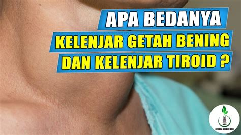 Leher bengkak adalah kondisi medis yang ditandai dengan kelejar getah bening yang keras, membengkak dan nyeri, biasanya di daerah leher, ketiak dan lipat. Apa Bedanya Kelenjar Getah Bening dan Kelenjar Tiroid yang ...