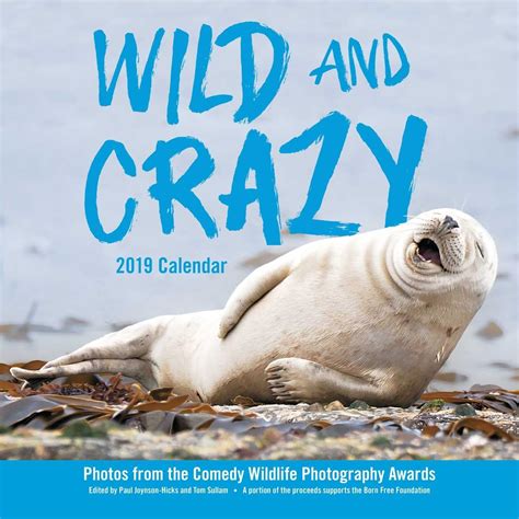 Wild and crazy bb orgy! Wild and Crazy 2019 Wall Calendar Calendar - Wall Calendar ...