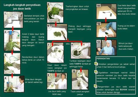 Setelah itu, dokter akan mencari tahu penyebab demam dengan melakukan wawancara medis, pemeriksaan fisik menyeluruh, serta pemeriksaan penunjang jika. Jus daun betik sebagai penawar merawat demam denggi ...