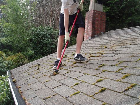 By removing moss before it starts to build up too much, you will be taking an important step in preserving the structural integrity of your roof. How to remove moss from roof naturally