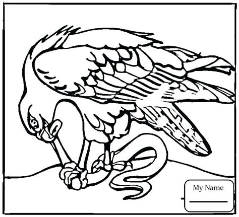 Red tailed hawk coloring page. Hawk Coloring Pages at GetColorings.com | Free printable ...