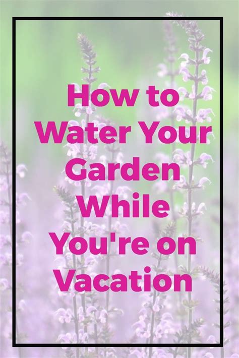 These hacks will help you! How to Water While You're Away | Growing vegetables, Water ...