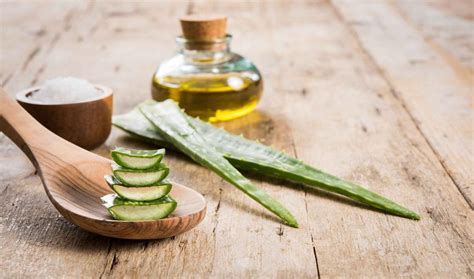 Khasiat buah tomat bisa untuk. Inilah Manfaat Lidah Buaya untuk Kecantikan Kulit