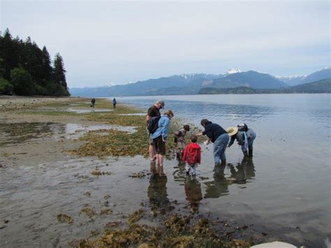 Recent events have included free yoga classes, photography classes and financial workshops. Kitsap Beach Naturalists | Kitsap County | Washington ...