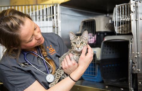 Find inspiration to create a better life at home. Low-cost spay/neuter clinic in Ogden, Utah, helps a family ...