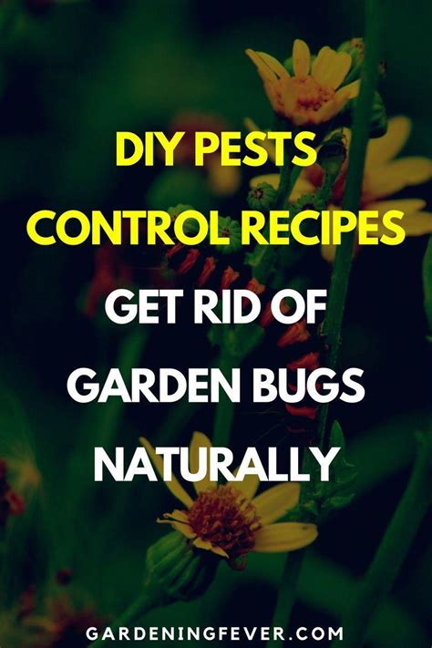 Use this diy pest control coupon code coupon for this discount! Do Your Own Pest Control | Pest Control