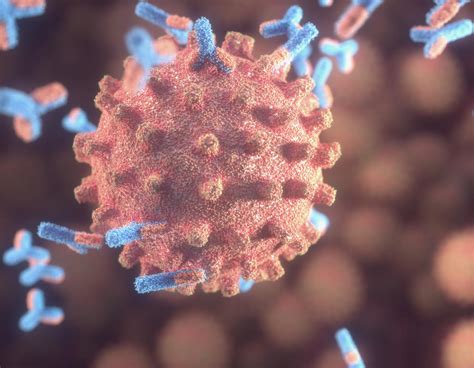 Mégiscsak kialakulhat immunitás az új koronavírussal szemben - Qubit