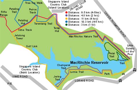 Singapore's oldest and most popular nature park is a haven for joggers, families and macritchie reservoir's calm waters allows for another kind of recreational activity: Blanc Inn (Singapore), Visit Singapore Guide for Free and ...