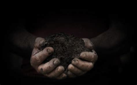 Bevor die bodenproben in unser bodenlabor geschickt werden, müssen die proben zuerst entnommen werden. Bodenanalyse - Brunk Garten - Garten- und Landschaftsbau ...