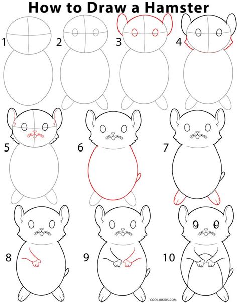 This art project is for our young artists! How to Draw a Hamster (Step by Step Pictures) | Cool2bKids