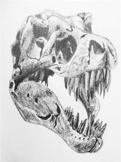 Draw a trapezoid around the ribcage to set the width of. How To Draw A Dinosaur Skull