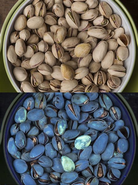 Aflatoxin is a type of mold that is considered a human carcinogen. Pistachio nuts in visible and UV fluorescence, showing the ...