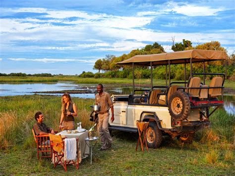 Auf großer safari tour südafrika hautnah erleben. Best Safari Tours to Pick From | Antilog Vacations Travel Blog