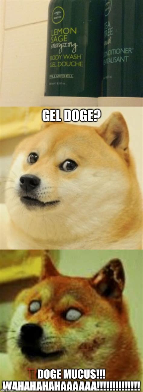 Most funny dogecoin meme 2021. Image tagged in memes,doge,gel douche gel doughe gel doge - Imgflip