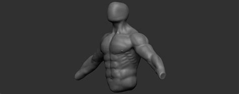 Download files and build them with your 3d printer, laser cutter, or cnc. Male torso/back anatomy - critique please — polycount