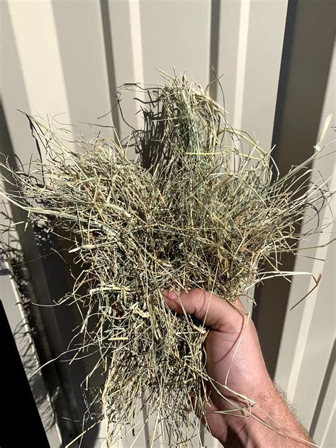 For the past several years, i have grown coastal bermuda on 6 acres in north texas and hired someone to prep, fertilize, weed and bale in exchange for part of the harvest. Coastal Bermudagrass - Southeast Hay