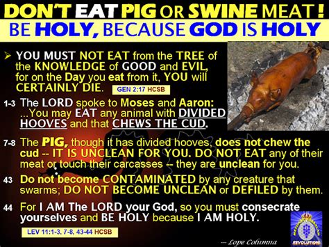 Leviticus 11:4nevertheless, among those that chew the cud or part the hoof, you shall not eat these: The BIBLE EXPLAINER & REVELATOR: Q788: If All Animals Were ...