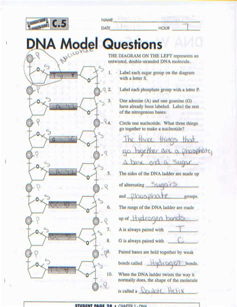 Chapter 4 atomic structure worksheet answer key pearson key concepts chapter 4. Atomic Structure Review Worksheet Answer Key — db-excel.com