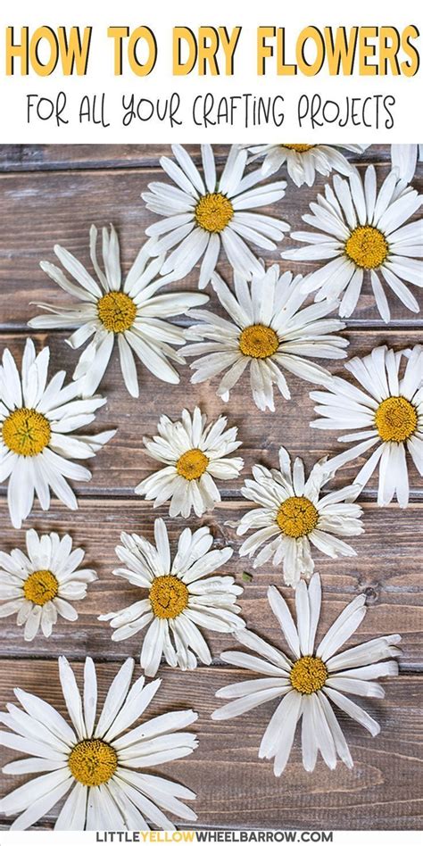You can dye white or ivory. How to Dry Flowers - We Tested 5 Different Methods to Find ...