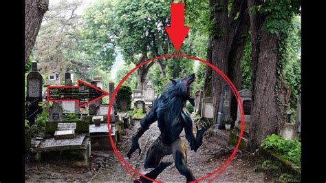 Welcome to the official chelsea fc website. (Caught on Camera!) The Shape Shifter at Hoyt Cemetary ...