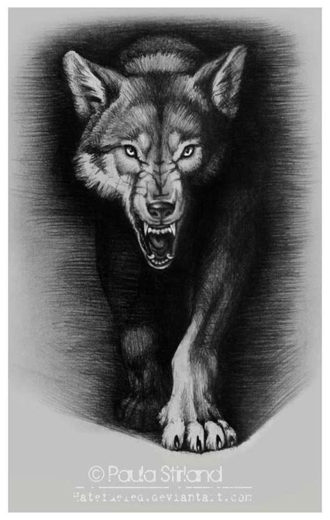 Jun 08, 2019 · the best wolf tattoo designs are different for everyone. Angry Wolf Sketch | Best Tattoo Designs | Wolf sketch ...