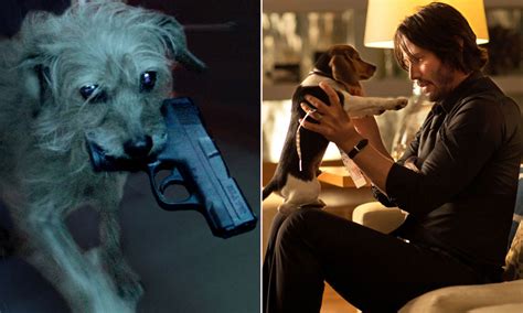 Chapter 2, and john wick: Dog Wick: What if Keanu Reeves and his Puppy in John Wick ...