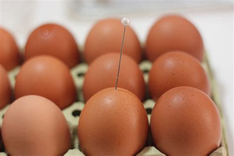 Hay varios métodos para cocer un huevo. Tiempo para cocer un huevo duro perfecto (con imágenes ...