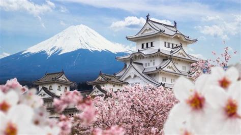 Japonya üç binden fazla adadan oluşur.2 bu adaların en büyükleri olan honşu, hokkaido, kyuşu ve şikoku adaları ülkenin %97'sini oluşturur. Japonya gezilecek yerler: Baştan sona Japonya gezi rehberi ...