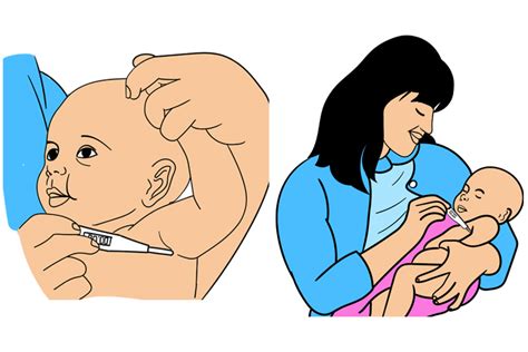 How to measure blood pressure. How To Take Your Baby's Temperature Using A Digital ...