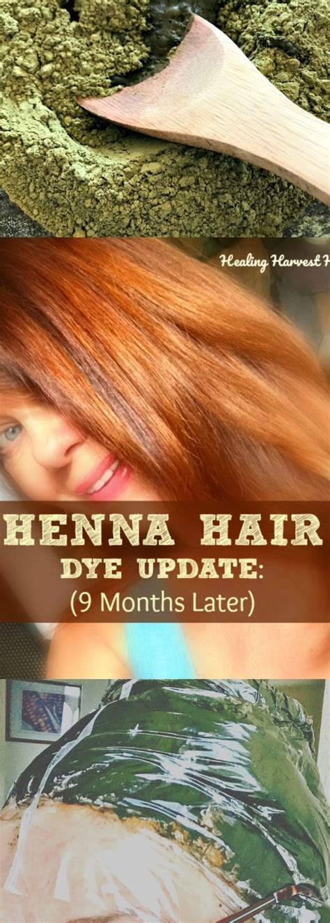 Tie back each dyed section and proceed until all sections are evenly coated. How to Dye Your Hair Naturally with Henna (Plus, an Update ...