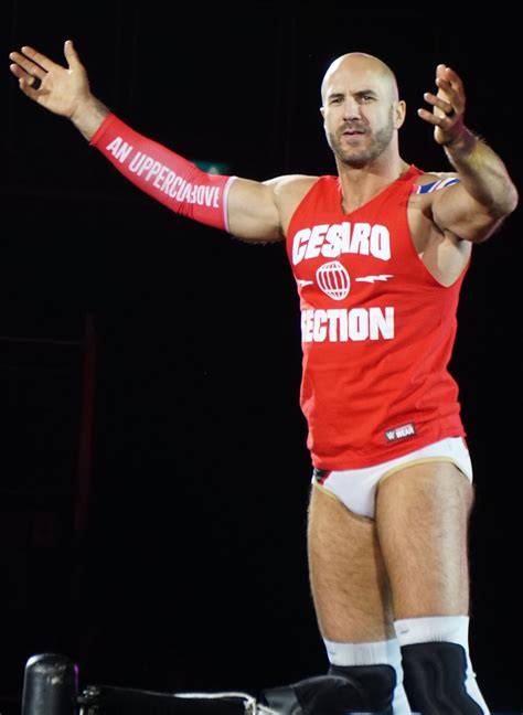 The official facebook fan page for wwe superstar cesaro. Cesaro (Wrestler) - Wikipedia