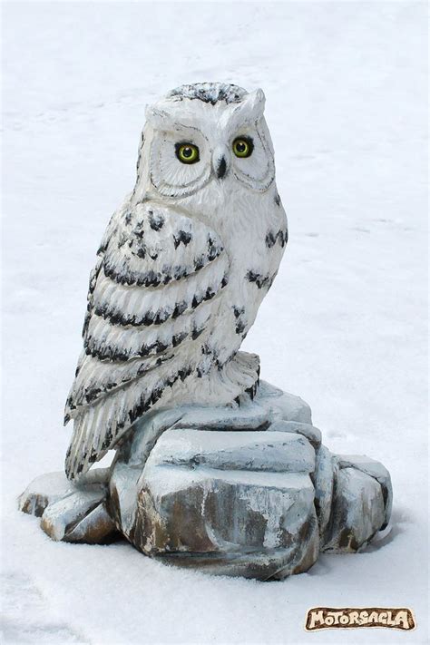 Maybe you would like to learn more about one of these? Eule / Owl | Schnitzen mit der kettensäge, Eule ...