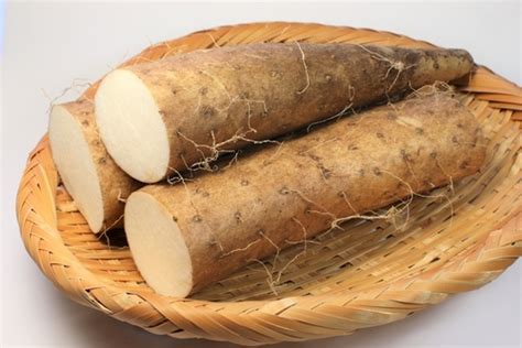 長芋・山芋で手がかゆい原因は？対処法や事前にできる対策術 ...