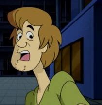 Shaggy rogers, and his relationship was wrong for her castle, scooby doo! (shaggy)Scooby-Doo
