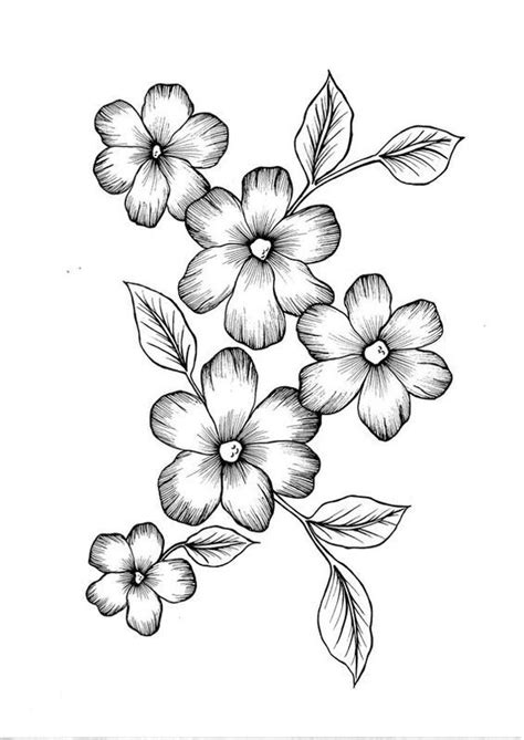 1001 ideas de dibujos de flores faciles y bonitos. Pin en DIBUJOS A LÁPIZ PARA APRENDER A DIBUJAR