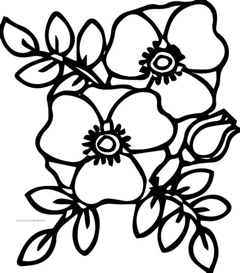 They flourish if placed near the window in robs zoot suit: Flower Violet Coloring Page - Coloring Sheets