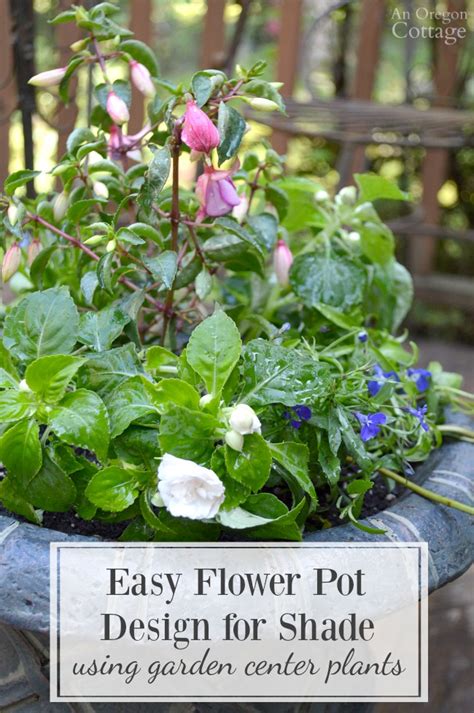 We did not find results for: Easy Flower Pot Design for Shade Using Garden Center Plants